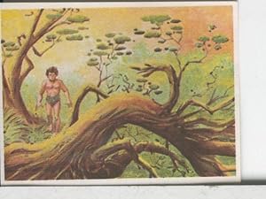 Cromos: Aventuras de Jorge, el Pequeño Tarzan, autor Gigarpe numero 012