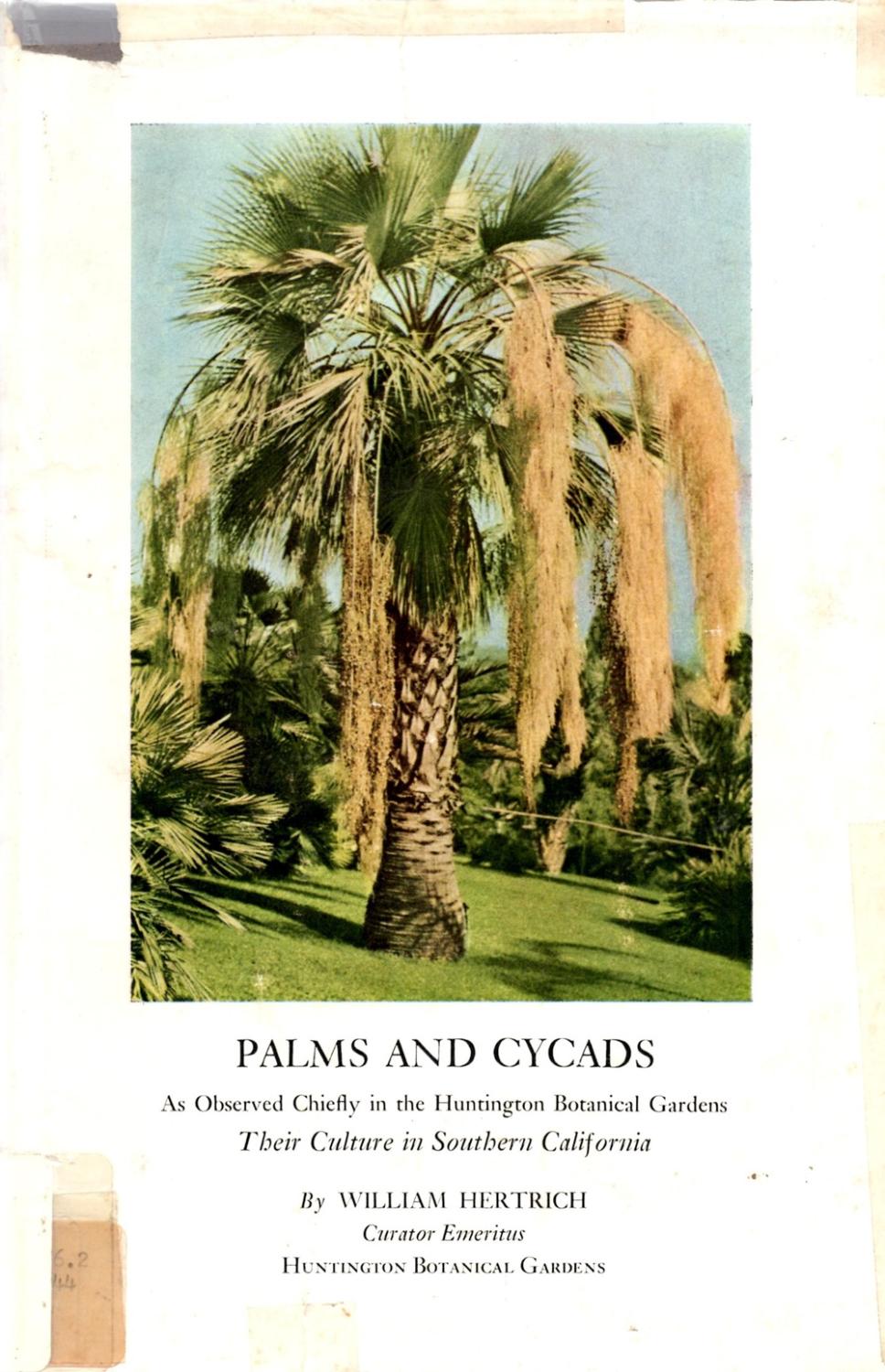 Palms And Cycads As Observed Chiefly In The Huntington Botanical