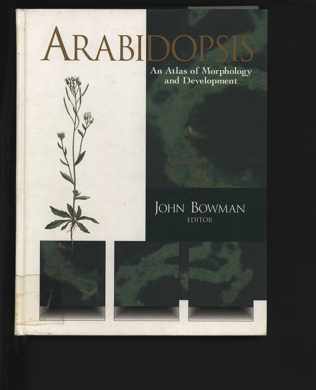 Arabidopsis: An Atlas of Morphology and Development. - Bowman, John,