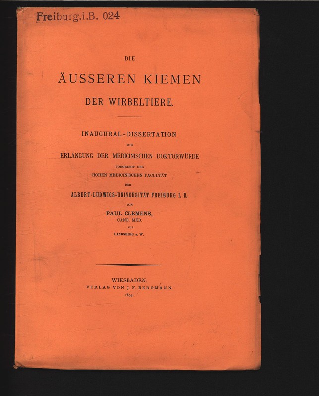 Dissertation sebastian meinke
