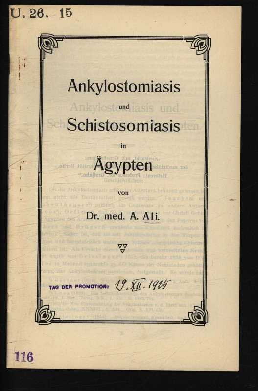 Professional Papers: Dissertation sebastian grasreiner % original papers!
