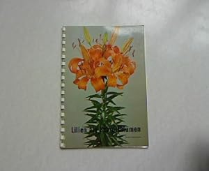 Lilien als Schnittblumen. Richtlinien für die Kultur unter Glas.