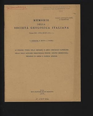 Le spiagge fossili delle arenarie di Aren (cretacico superiore) nella valle Noguera Ribagorzana (...