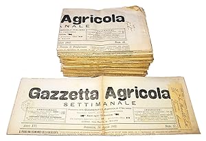 Gazzetta Agricola. Settimanale. Promotrice della Cooperativa agricola italiana - Anno XVI - Set d...
