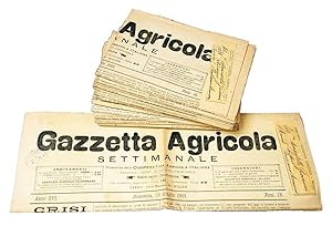 Gazzetta Agricola. Settimanale. Promotrice della Cooperativa agricola italiana - Anno XVI - Set d...