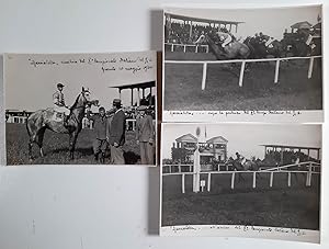 Lotto di 3 foto del cavallo "Spacciatella" in due Concorsi Ippici Italiani - 1933-1936