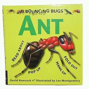 Bouncing Bugs - Ant