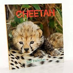 Cheetah (Eye on the Wild)