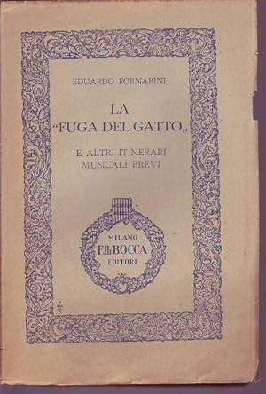 La fuga del gatto e altri itinerari musicali brevi