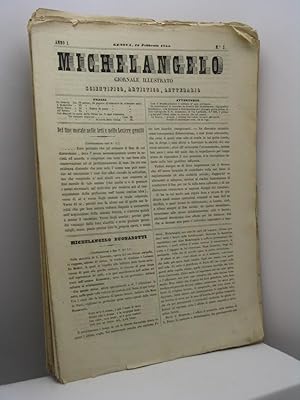 Michelangelo. Giornale illustrato, scientifico, artistico, letterario. Anno I, nn. 2-24, febbraio...