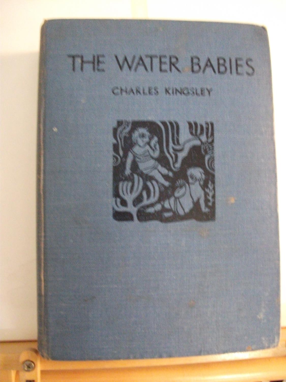 The Water Babies (Children's Illustrated Classics)