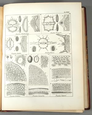 ANATOMISCHER ATLAS ZUR PHARMAZEUTISCHEN WAARENKUNDE