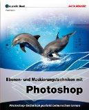 Das grosse Buch Ebenen- und Maskierungstechniken mit Photoshop