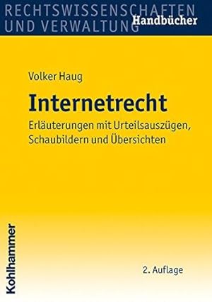 Internetrecht - Erläuterungen mit Urteilsauszügen, Schaubildern und Übersichten. Rechtswissenscha...