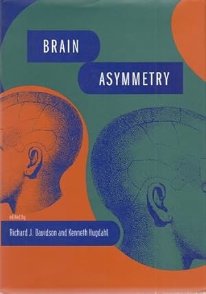 Brain Asymmetry.