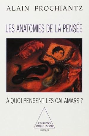 Les anatomies de la pensée - À quoi pensent les calamars? (Sciences).