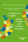 Literatures in English: Ethnic, Colonial and Cultural Encounters. Studies in English and Comparat...