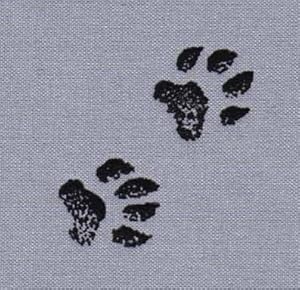 Forever Odd - Signed Numbered Edition