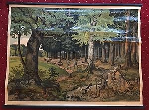 Der Wald : Schulwandtafel. (Serie: Schreibers künstlerische Wandbilder für den Anschauungs-Unterr...