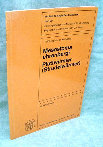 Mesostoma ehrenbergi. (Focke 1836) ; Plattwürmer (Strudelwürmer) ; Biologie, mikroskop. Anatomie u. Cytogenetik.