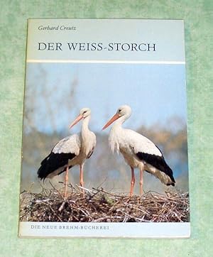 Der Weiss-Storch (Ciconia ciconia).