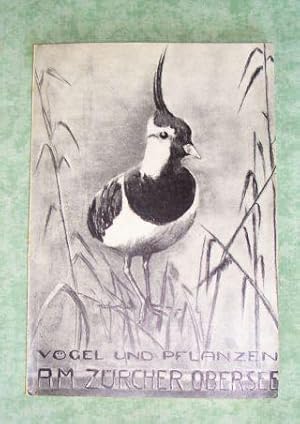 Vögel und Pflanzen am Zürcher Obersee. Berichte der Schweizerischen Naturforschenden Gesellschaft.