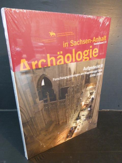 Archäologie in Sachsen-Anhalt / Aufgedeckt II: Forschungsgrabungen am Magdeburger Dom 2006-2009