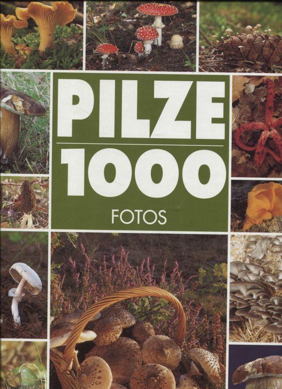 Pilze 1000 Fotos - Laurent, Patrick und Isabelle Masson-Deblaize