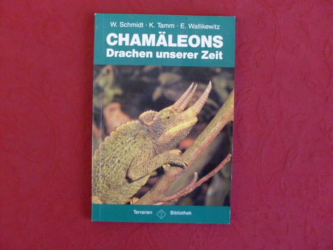 Chamäleons - Drachen unserer Zeit