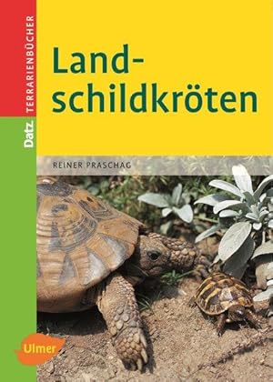 Landschildkröten