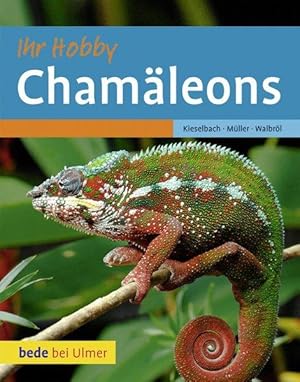 Chamäleons