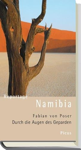 Reportage Namibia: Durch die Augen des Geparden