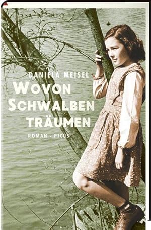 Wovon Schwalben träumen Roman