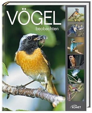 Vögel beobachten