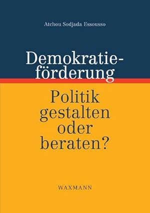 Demokratieförderung: Politik gestalten oder beraten?