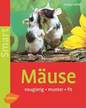 Mäuse. neugierig - munter - fit