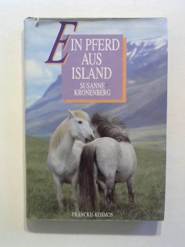 Ein Pferd aus Island