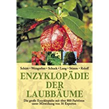 Enzyklopädie der Laubbäume Die große Enzyklopädie