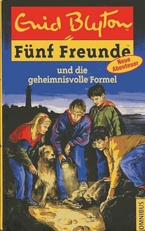 Fünf Freunde und die geheimnisvolle Formel (Fünf Freunde Band 25).