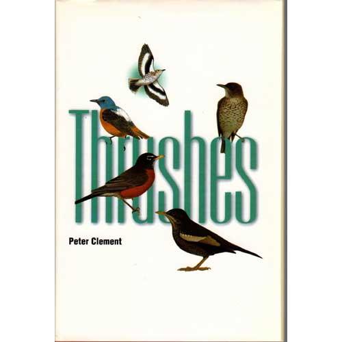 Thrushes - Clement, Peter