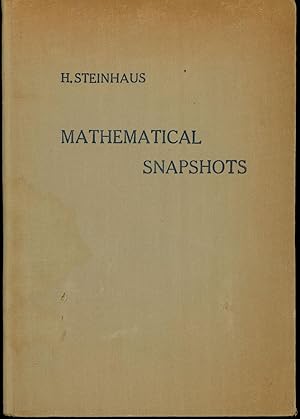 Mathematical Snapshots