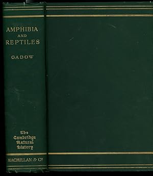 Amphibia and Reptiles