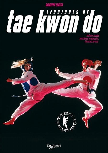 Posiciones de taekwondo con imagenes