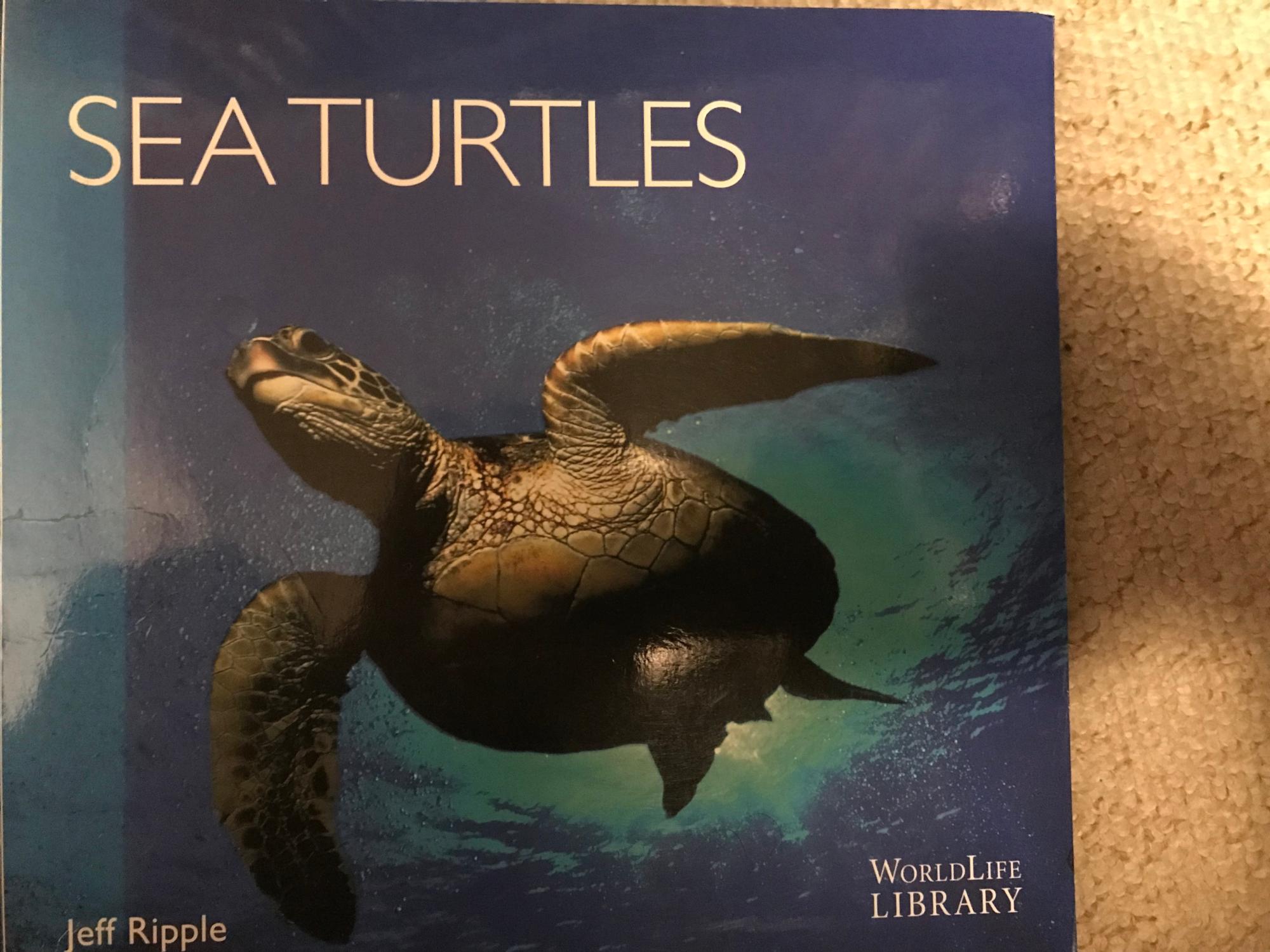 Sea Turtles (Worldlife Library) - Jeff Ripple