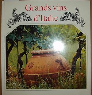 Grand vins d’Italie : voyage varié à travers les vignobles italiens classiques