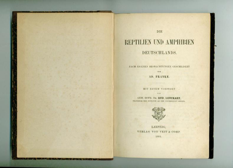 Die Reptilien und Amphibien Deutschlands: Nach eigenen Beobachtungen geschildert 1881 [Leather Bound]