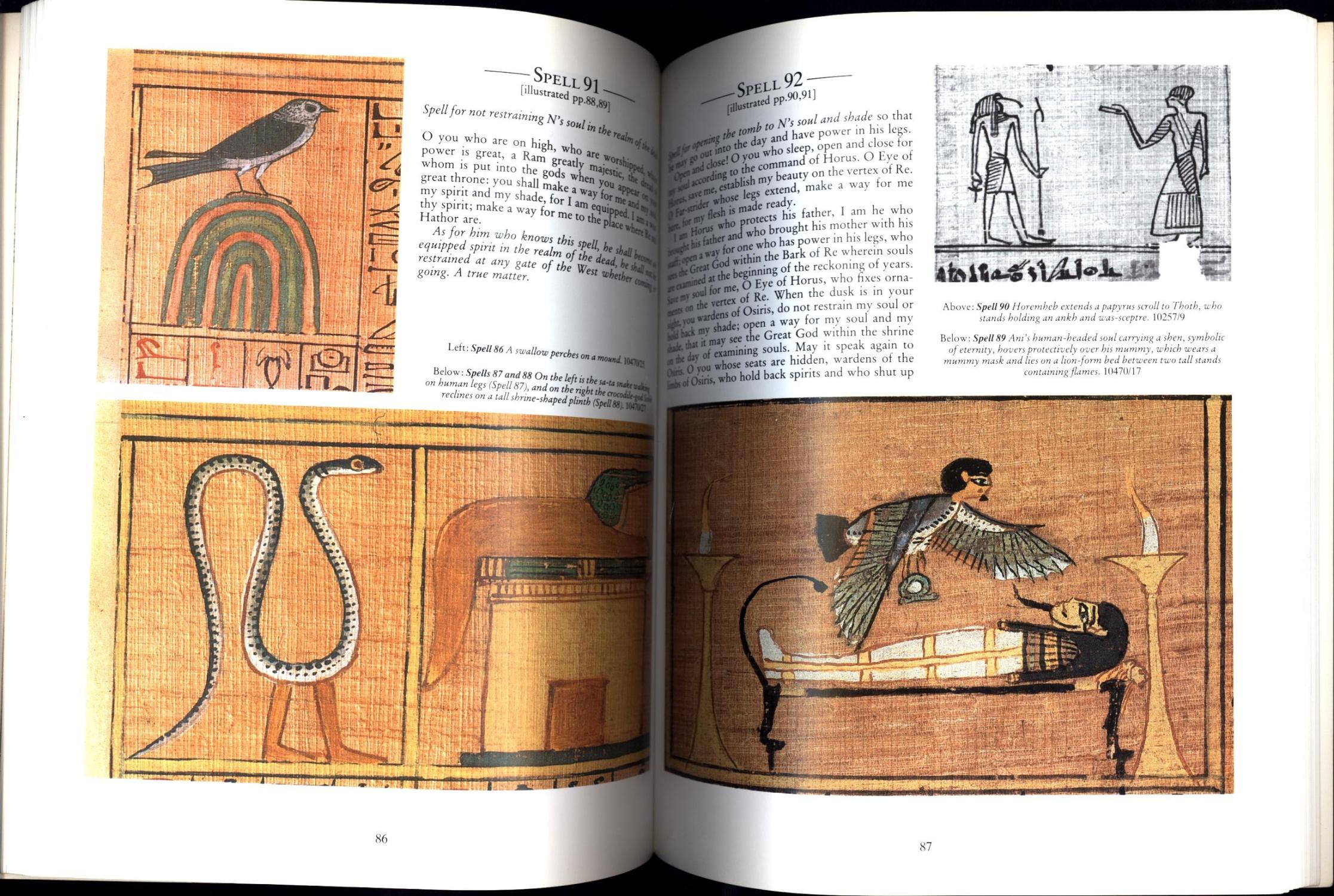 Image result for the egyptian book of the dead