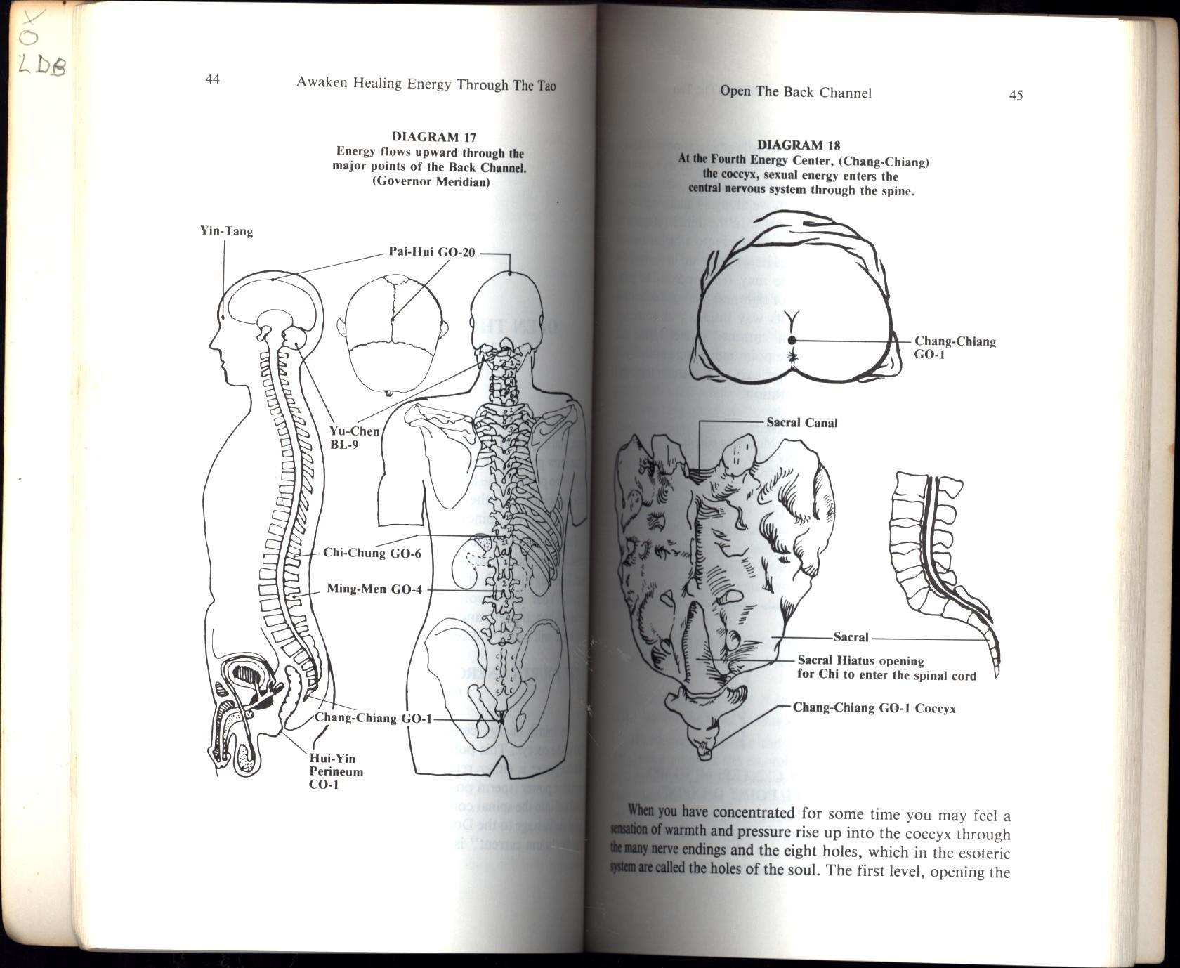 awakening healing energy through the tao