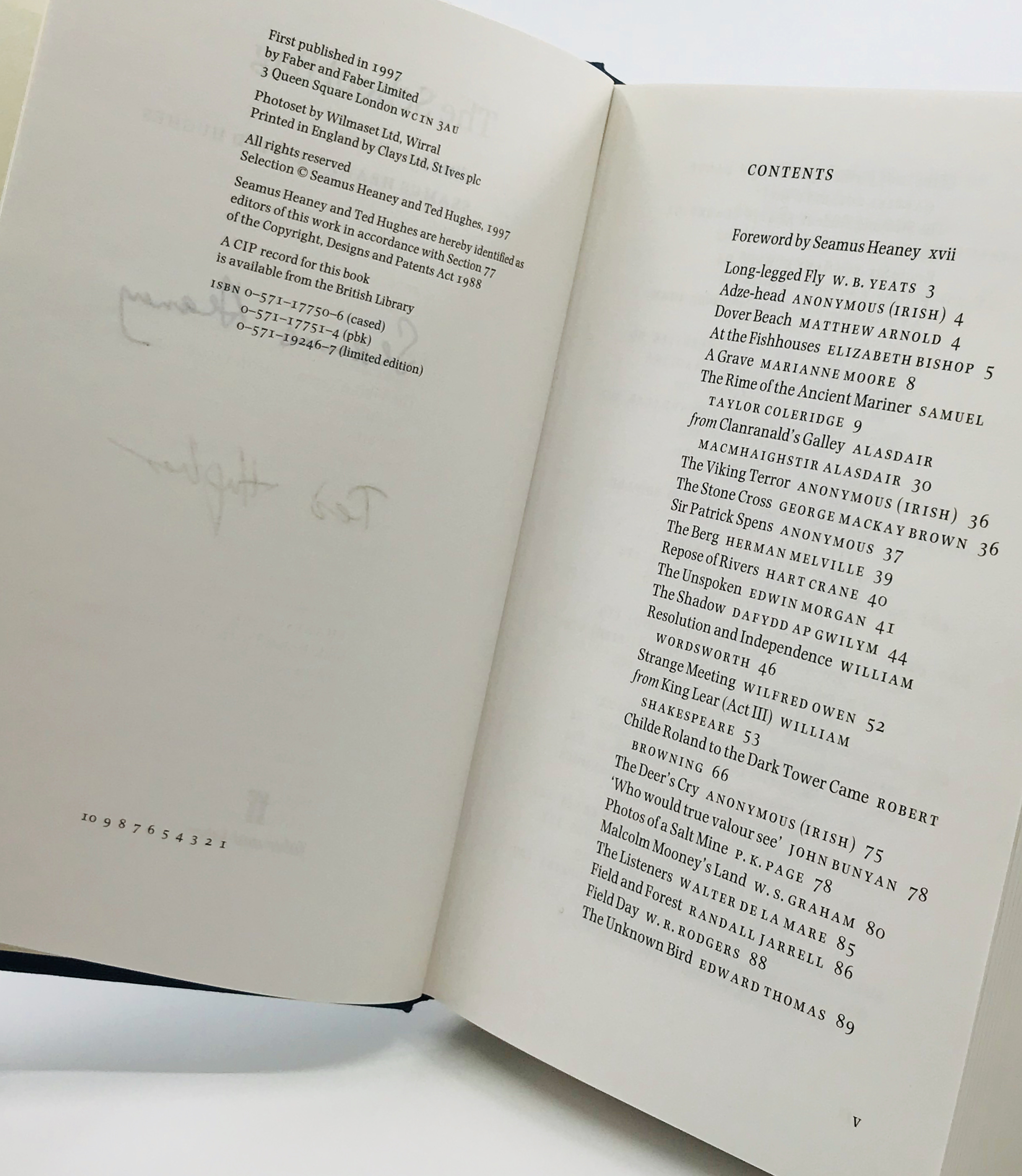 Seamus heaney poetry essays