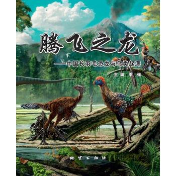 Dragon of the boom: Chinese origin long feathered dinosaurs and birds(Chinese Edition) - JI QIANG ZHU